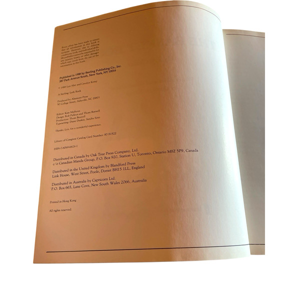 The Basket Book by Lyn Siler and Carolyn Kemp 30 Baskets to Make and Enjoy 1988 - Picture 8 of 16